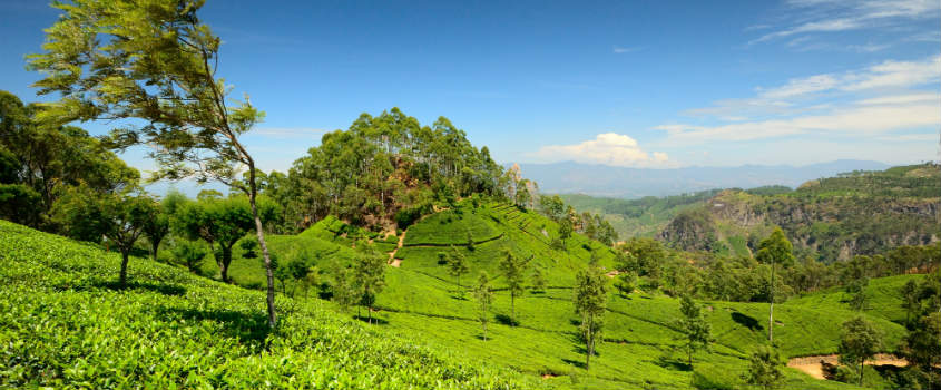 Golf-Holiday-Packages-in-the-Highlands-Nuwara Eliya