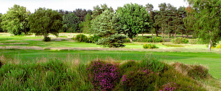 Walton Heath Golf Club