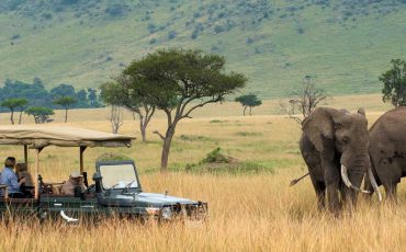 GOLF AND SAFARI, SOUTH AFRICA