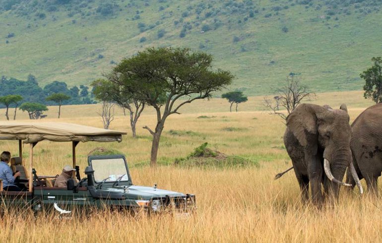 GOLF AND SAFARI, SOUTH AFRICA