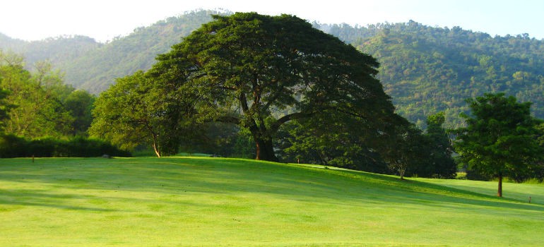 VICTORIA GOLF &COUNTRY RESORT, KANDY