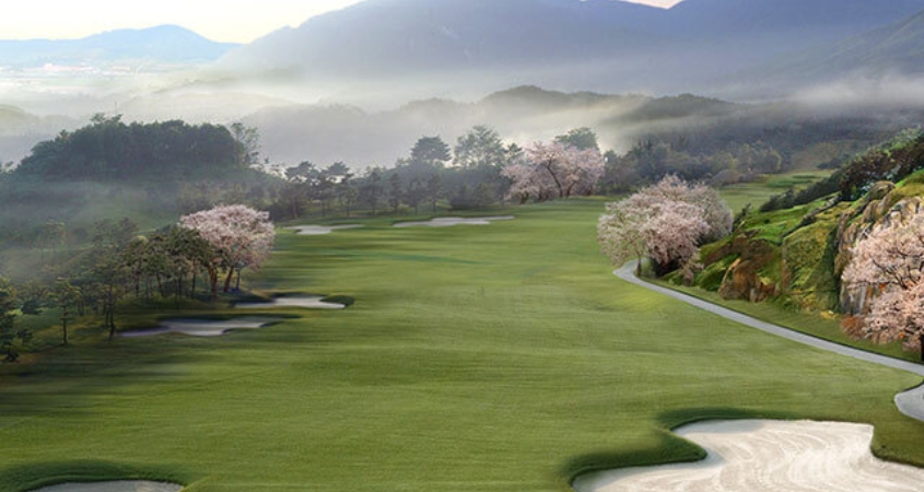 Golf course in misty mountains with cherry blossoms, South Korea Golf course in misty mountains with cherry blossoms, South Korea